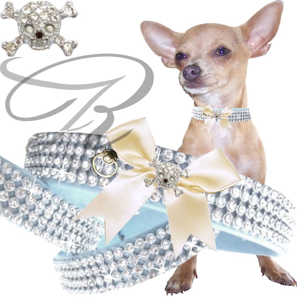 Artikel Nr-H69T55B__H69T55B-4__xxs,-15mm-strasshalsband-hundehalsband-mit-strass-4-reihig,-schleife-und-strasstotenkopf-in-schoenen-hellblau.-xxs-4-reihig-hellblau-Nr-H69T55B-