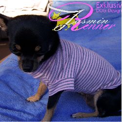 hundeshirts_Nr-H70T91B__H70T91B__welpenshirt-welpen-shirt-der-farbe-blau-weissen-sternen-100-baumwolle-Nr-H71T02B-